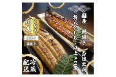 AK004_【冷蔵発送】朝開き国産うなぎ 当日発送２尾（1尾あたり約200～230ｇ） 蒲焼き・ 塩焼き 国産鰻 ウナギ