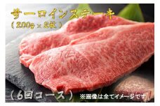 BG179  最高級佐賀牛サーロインステーキ年6回コース（200ｇ×2）