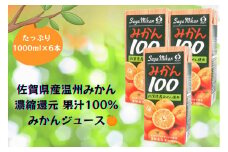 BJ016_【みかん100　6本】佐賀県産温州みかん みかんジュース 濃縮還元 国産 果汁100％ 1000ml 1L キャップ付き