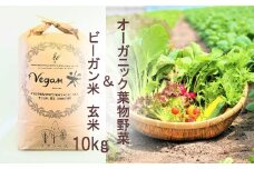CQ025      オーガニック葉物野菜セットとビーガン玄米10㎏【植物性で育てた完全無農薬のサガンベジブランド】