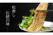 CB007　天然あなごの蒲焼３～５尾　500g前後（煮あなご）【松寿し特製たれ付】