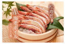 CB006　活車海老ボイル　500g　（16～18尾）