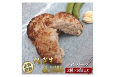 BN078　佐賀牛ハンバーグ(130g×4個)&黒豚ハンバーグ(130g×4個)の食べ比べ