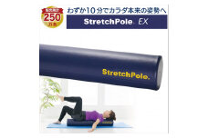 FI002【LPN社製】「ストレッチポールEX」（ネイビー色）一流アスリートから医療の現場、ご家庭まで幅広く活用。