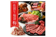 BN086　 贅沢 A5ランク　佐賀牛入り 福袋　坂本ストアの佐賀牛福袋 （梅）