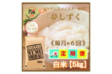 CIC93_『新米予約初回2025年10月発送』【６回定期便】『夢しずく』白米５ｋｇ 【五つ星お米マイスター厳選！】