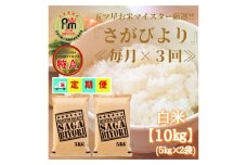 CIC62_【３回定期便】さがびより白米１０kg（５kg×２袋） 【五つ星お米マイスター厳選！】