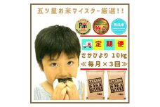 CIC74_【３回定期便】無洗米さがびより１０ｋｇ（５ｋｇ×２袋） 【五つ星お米マイスター厳選！】