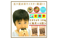 CID55_【６回定期便】無洗米さがびより１０ｋｇ（５ｋｇ×２袋） 【五つ星お米マイスター厳選！】