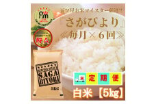 CIC61_【６回定期便】さがびより白米５kg 【五つ星お米マイスター厳選！】