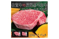 DX041_佐賀牛×厳選黒毛和牛　ヒレステーキ食べ比べ400ｇ×2