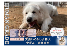 FB178_大型犬向け☆天然いのししの骨ガム3本