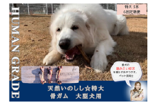 FB179_大型犬向け☆天然いのししの骨ガム3本【定期便】全6回