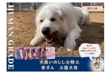 FB181_大型犬向け☆天然いのししの骨ガム6本