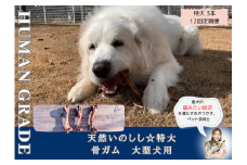 FB180_大型犬向け☆天然いのししの骨ガム3本【定期便】全12回