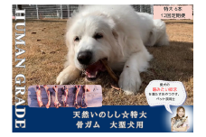 FB183_大型犬向け☆天然いのししの骨ガム6本【定期便】全12回