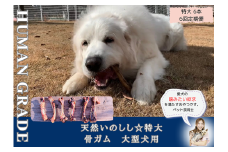 FB182_大型犬向け☆天然いのししの骨ガム6本【定期便】全6回
