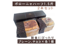 AW019　ボローニャハーフ　1.5斤2本セット（プレーン×チョコ）　朝食　ふわふわ　しっとり　ボローニャ