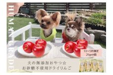 FB148　【10月～5月20日まで順次発送】犬の無添加おやつ☆お砂糖不使用ドライりんご４個