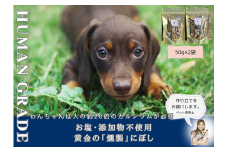 FB061  犬と猫の無添加おやつ☆お塩不使用☆黄金の燻製にぼし