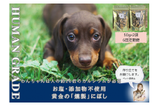 FB064 　犬と猫の無添加おやつ☆お塩不使用☆黄金の燻製にぼし【6回定期便】