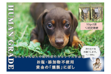 FB065 　犬と猫の無添加おやつ☆お塩不使用☆黄金の燻製にぼし【12回定期便】