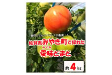 AR001　佐賀県産愛味とまと　めぐみトマト約４ｋｇ