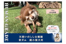 FB170_超小型犬向け☆天然いのししの骨ガム100g【定期便】全6回