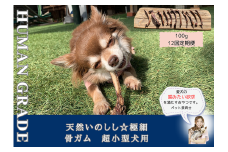 FB171_超小型犬向け☆天然いのししの骨ガム100g【定期便】全12回