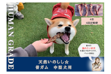 FB176_中型犬向け☆天然いのししの骨ガム4本（300～400g）【定期便】全6回
