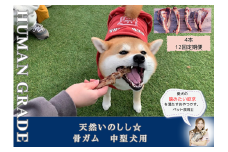 FB177_中型犬向け☆天然いのししの骨ガム4本（300～400g）【定期便】全12回