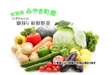 CC001 かずちゃんの朝採り新鮮野菜セット【みやき町産朝採り野菜をお届け】