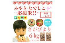 CID69_【みやきなでしこ】応援米【６回定期便】【無洗米】さがびより６kg（３kg×２袋） 【五つ星お米マイスター厳選！】