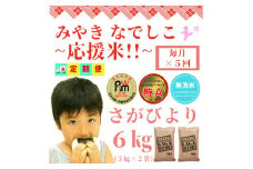 CIC89_【みやきなでしこ】応援米【５回定期便】【無洗米】さがびより６kg（３kg×２袋） 【五つ星お米マイスター厳選！】