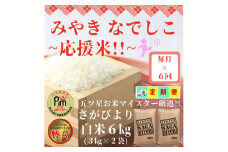 CIC85_【みやきなでしこ】応援米【６回定期便】さがびより白米６kg（３kg×２袋） 【五つ星お米マイスター厳選！】