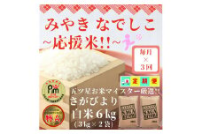 CIC84_【みやきなでしこ】応援米【３回定期便】さがびより白米６kg（３kg×２袋） 【五つ星お米マイスター厳選！】