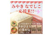 CIB68_【みやきなでしこ】応援米さがびより白米６㎏（３㎏×２袋）