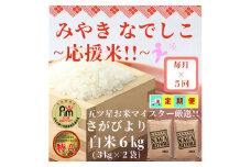 CIC83_【みやきなでしこ】応援米【５回定期便】さがびより白米６kg（３kg×２袋） 【五つ星お米マイスター厳選！】