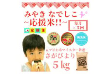 CIC87_【みやきなでしこ】応援米【５回定期便】【無洗米】さがびより５kg 【五つ星お米マイスター厳選！】