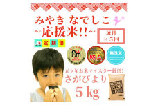 CID66_【みやきなでしこ】応援米【５回定期便】【無洗米】さがびより５kg 【五つ星お米マイスター厳選！】