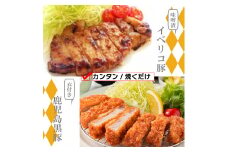 BN110　鹿児島黒豚トンカツ用衣付き300ｇ（100ｇｘ3枚）・味噌漬け300ｇ（100ｇｘ3枚）セット