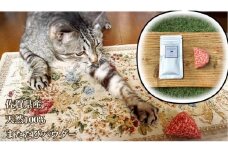 FB103  猫用☆天然100％無添加・ 無農薬またたびパウダー＆蹴りぐるみ1個
