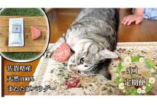 FB104  猫用☆天然100％無添加・ 無農薬またたびパウダー＆蹴りぐるみ1個【定期便3回】