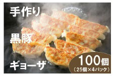 DA034　江見川端小平の手作り黒豚餃子100個（国産黒豚使用）