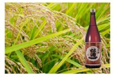 DV205  松浦一辛口純米酒 1.8L
