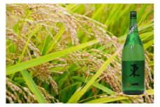 DV204  東一純米酒 1.8L