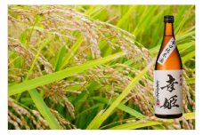 DV216　幸姫辛口純米酒 1.8L