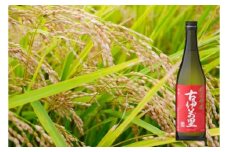 DV208　古伊万里純米吟醸 1.8L