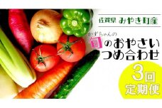 CC003_【3回定期便】かずちゃんの朝採り新鮮野菜セット毎月お届け みやき町産