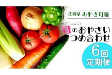 CC004_【6回定期便】かずちゃんの朝採り新鮮野菜セット毎月お届け みやき町産